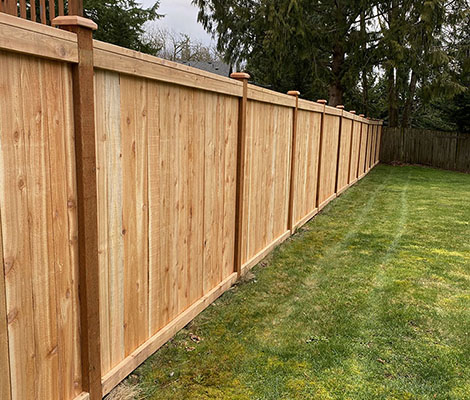 fence builder near me custom wood backyard fence by mcaze renovation in toronto