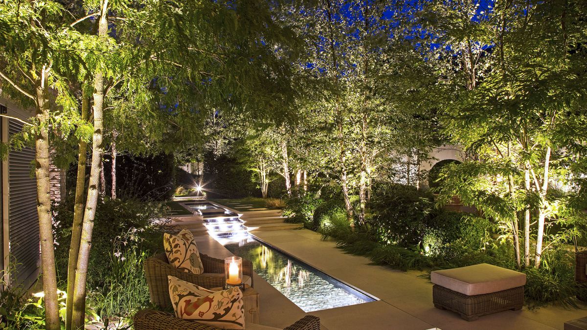 Modern landscaped backyard in Toronto with patio, decorative lighting, and lush greenery
