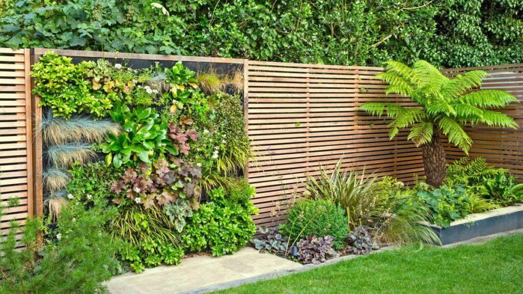 Vertical backyard landscaping ideas with climbing plants