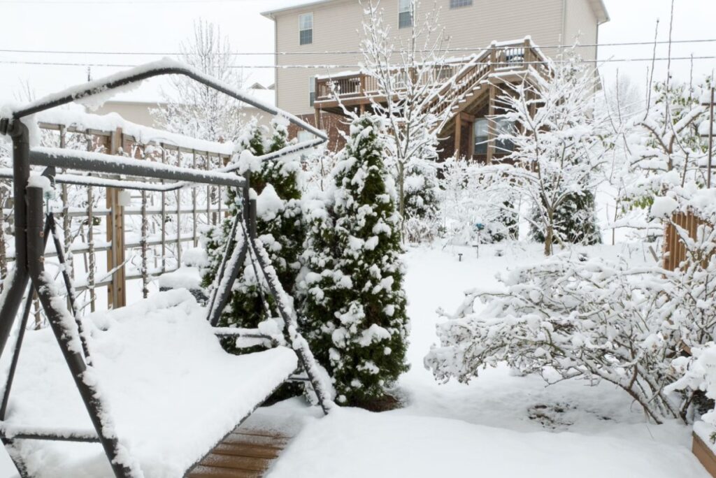 Seasonal backyard landscaping updates with evergreens and flowers